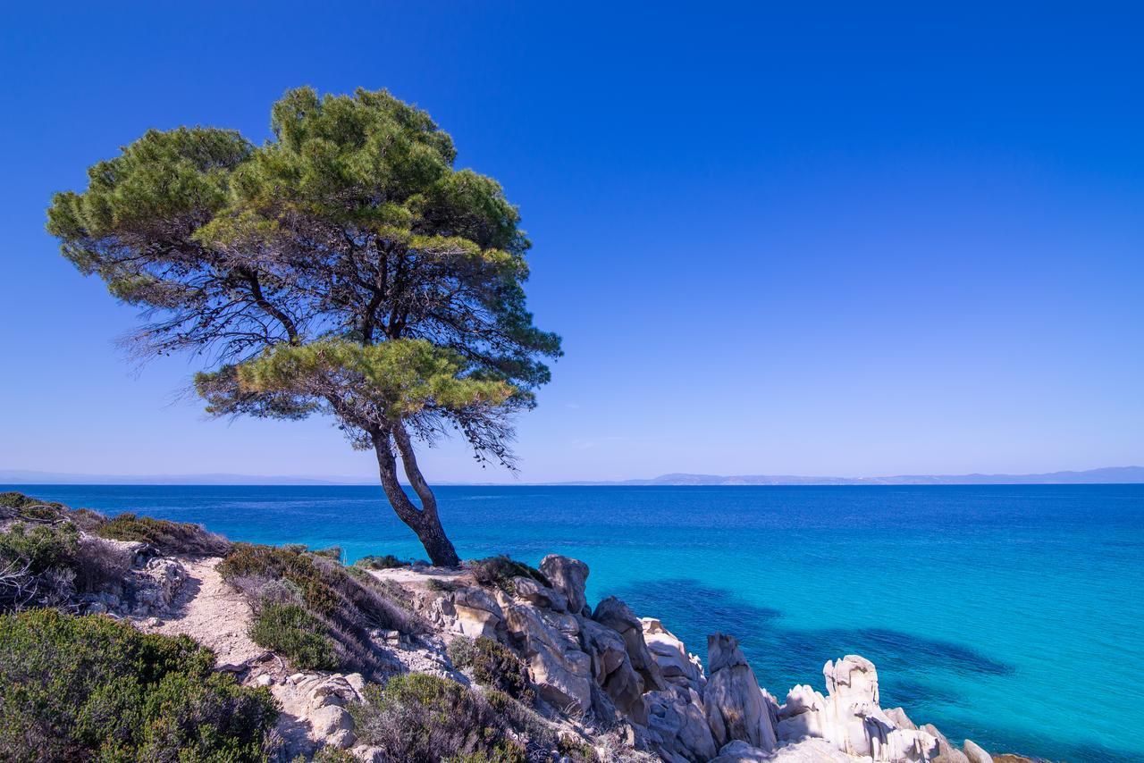 House Katerina Mediterranean Sarti Dış mekan fotoğraf